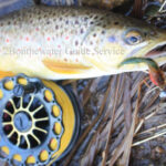 2Bonthewater Guide Service Reports December 22 2010 Fished Antietam