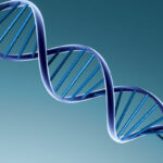 DSHS Turned Over Hundreds Of DNA Samples To Feds The Texas Tribune