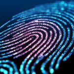 Electronic Fingerprinting Department Of State