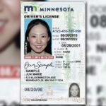 Minnesota Unveils New ID Design Available Aug 6 Kare11