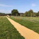 New Sites Paw Paddock