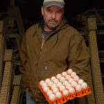 Pleasant View Egg Farm Sauder s Eggs
