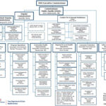 Texas Department Of State Health Services Organizational Chart