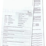 Types Of DBS Check Available Xpert Education Recruitment